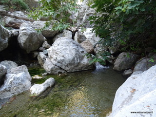 stoleone-09-08-2020 09